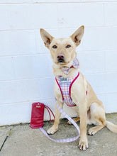 "Houndbury" City Leash