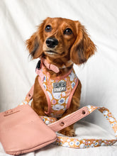 Summer Fling Style Bundle