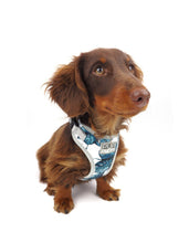 Palm Vibes Harness (Seconds)