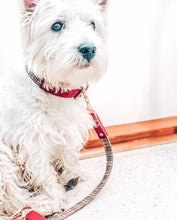 "Houndbury" City Leash