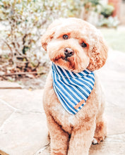 Stripe Squad Bandana