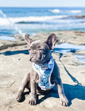 Palm Vibes Harness (Seconds)